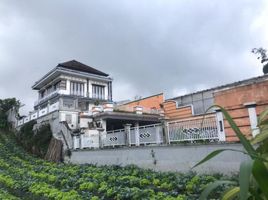 5 Bedroom Villa for sale in Seririt, Buleleng, Seririt