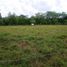  Land for sale in Cordoba, Monteria, Cordoba