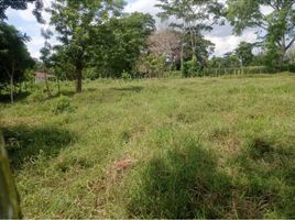  Land for sale in Cordoba, Monteria, Cordoba