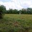  Land for sale in Cordoba, Monteria, Cordoba