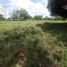  Land for sale in Cordoba, Monteria, Cordoba