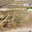  Land for sale in Lagos De Moreno, Jalisco, Lagos De Moreno