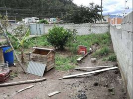  Terreno (Parcela) en venta en Imbabura, Otavalo, Otavalo, Imbabura