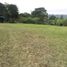  Land for sale in Santo Domingo De Los Tsachilas, Santo Domingo De Los Colorados, Santo Domingo, Santo Domingo De Los Tsachilas