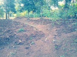  Terreno (Parcela) en venta en Padalarang, West Jawa, Padalarang, Bandung