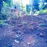  Terreno (Parcela) en venta en Padalarang, West Jawa, Padalarang, Bandung