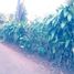  Terreno (Parcela) en venta en Padalarang, West Jawa, Padalarang, Bandung