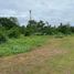  Land for sale in Calamba City, Calabarzon, Calamba City