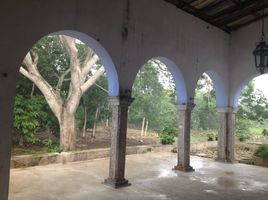 1 Bedroom House for sale in Izamal, Yucatan, Izamal