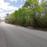  Land for sale in Uayma, Yucatan, Uayma