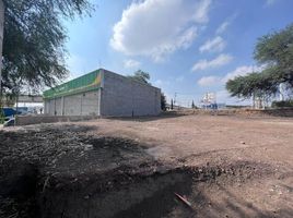  Terreno (Parcela) en alquiler en Aguascalientes, Aguascalientes, Aguascalientes, Aguascalientes