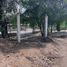  Terreno (Parcela) en alquiler en Aguascalientes, Aguascalientes, Aguascalientes, Aguascalientes