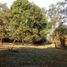  Land for sale in Castillejos, Central Luzon, Castillejos