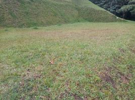  Terreno (Parcela) en venta en Retiro, Antioquia, Retiro