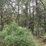 Land for sale in Singuilucan, Hidalgo, Singuilucan