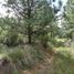  Land for sale in Singuilucan, Hidalgo, Singuilucan