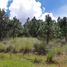  Land for sale in Singuilucan, Hidalgo, Singuilucan
