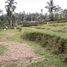  Land for sale in Tegallalang Rice Terrace, Tegallalang, Tegallalang