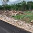  Grundstück zu verkaufen in Conkal, Yucatan, Conkal