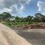  Grundstück zu verkaufen in Conkal, Yucatan, Conkal