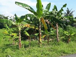  Tanah for sale in Bantul, Yogyakarta, Banguntapan, Bantul