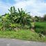  Land for sale in Bantul, Yogyakarta, Banguntapan, Bantul