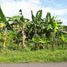  Land for sale in Bantul, Yogyakarta, Banguntapan, Bantul