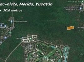  Grundstück zu verkaufen in Conkal, Yucatan, Conkal