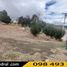  Land for sale in Canar, Javier Loyola Chuquipata, Azogues, Canar