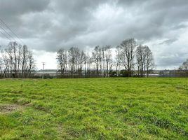  Terreno (Parcela) en venta en Ranco, Los Ríos, La Unión, Ranco