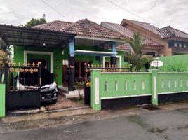 3 Schlafzimmer Villa zu verkaufen in Mlati, Yogyakarta, Mlati