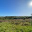  Land for sale in Chui Rio Grande do Sul, Chui, Chui, Rio Grande do Sul, Brazil