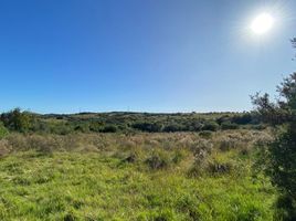  Land for sale in Chui, Rio Grande do Sul, Chui, Chui