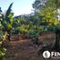  Land for sale in Misiones, Capital, Misiones