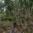  Land for sale in Tepus, Yogyakarta, Tepus