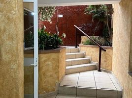 3 Habitación Apartamento en alquiler en Miguel Hidalgo, Ciudad de México, Miguel Hidalgo