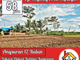  Land for sale in Kepanjen, Malang Regency, Kepanjen