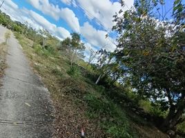 在Merida, Yucatan出售的 土地, Merida