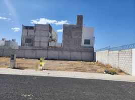  Terreno (Parcela) en venta en San Agustin Tlaxiaca, Hidalgo, San Agustin Tlaxiaca