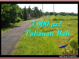  Land for sale in Selemadeg, Tabanan, Selemadeg