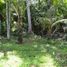  Land for sale in Selemadeg, Tabanan, Selemadeg