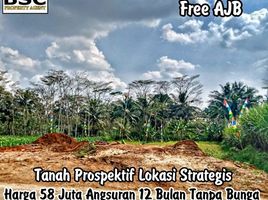  Land for sale in Malang Regency, East Jawa, Ngajum, Malang Regency