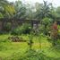  Terreno (Parcela) en venta en Seyegan, Yogyakarta, Seyegan, Sleman, Yogyakarta