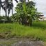  Terreno (Parcela) en venta en Cebu City, Central Visayas, Cebu City