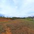 Terrain à vendre à Rionegro, Antioquia, Rionegro