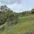 Terrain à vendre à Rionegro, Antioquia, Rionegro