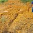  토지을(를) Kepulauan Riau, Riau에서 판매합니다., Bintan Utara, Kepulauan Riau