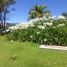 2 Bedroom House for rent in Chapala, Jalisco, Chapala