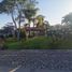 2 Bedroom House for rent in Chapala, Jalisco, Chapala