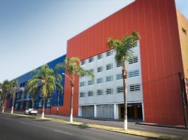 1,000 m² Office for rent in Morelos, Cuernavaca, Morelos